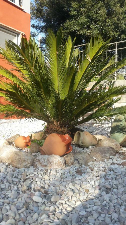 B&B La Mita Giuliano di Roma 外观 照片