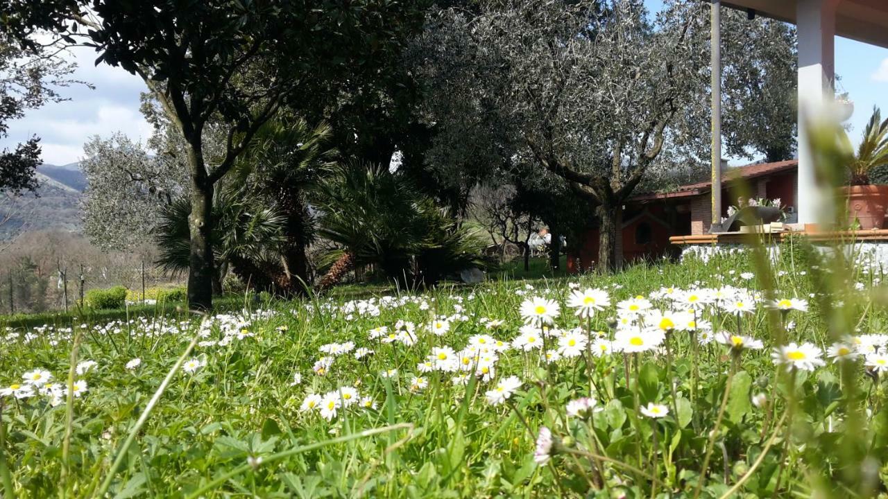 B&B La Mita Giuliano di Roma 外观 照片